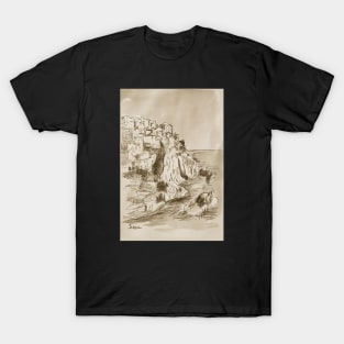 Village on the rocks....a study T-Shirt